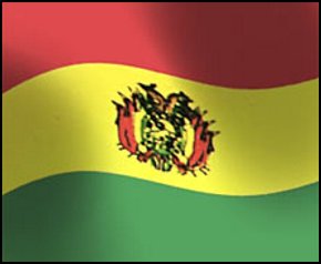 Bordadoras Usadas BOLIVIA