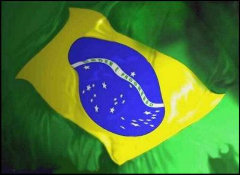 Bordadoras Usadas BRASIL