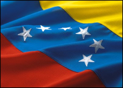 Bordadoras Usadas VENEZUELA