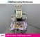 SWF B-T1601, single-head, 6-needle, commercial embroidery machine