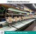Tajima TME-DC912, 12-head, 9-needle, commercial embroidery machine