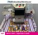 SWF B-T1601, single-head, 6-needle, commercial embroidery machine
