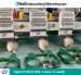 Tajima TFHX-IIC1504, 4-head, 15-needle, commercial embroidery machine